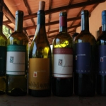 sassotondo-vini