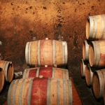 sassotondocantina 2