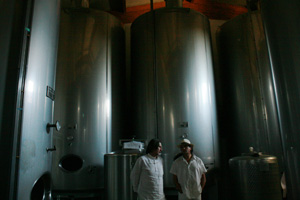 cantina -palazzone