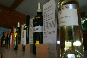 vini palazzone