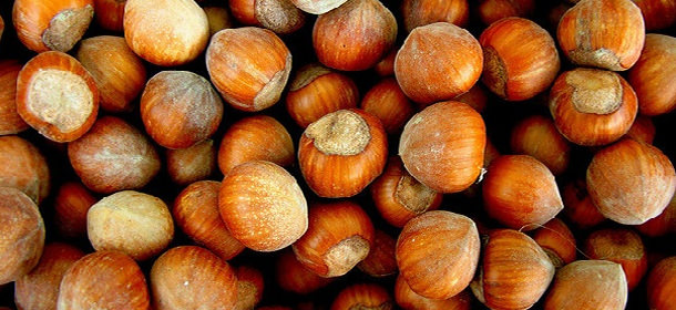 nocciola_romana_large_dop