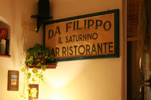 saturnino insegna
