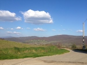 20140322-103353.jpg