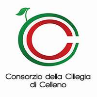 logo-consorzio-della-ciliegia