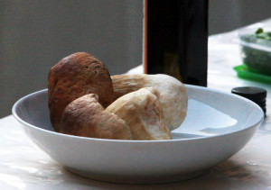 funghi