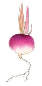 Disegno_1