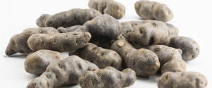 Patate-Lady-Viola-Vitelotte-4