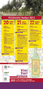 PannelloProgrammaVV2015