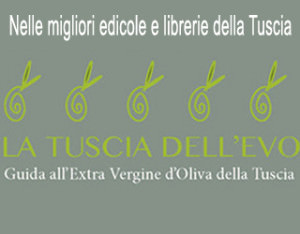 EVO-inserzione-edicole