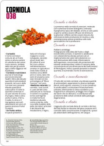 Corniole