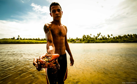 The water law