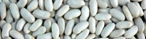 Fagiolo dente di Morto di Acerra (Campania)