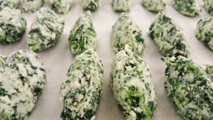 gnudi volterra