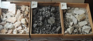 pieropan terreni