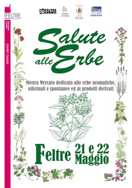 feltre