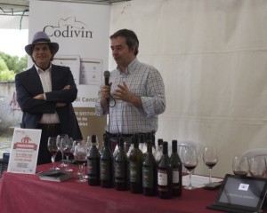 vinointorno 6