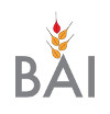 bai