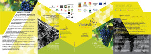 vinimilo2016 1