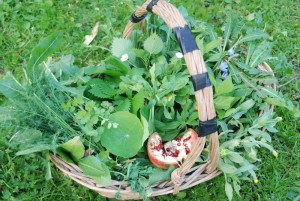risotto-alle-erbe-3