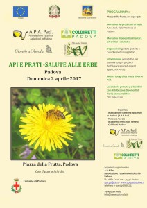 locandina api & prati aprile 2017