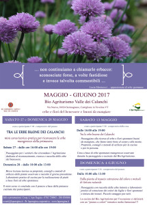 Calanchi2017