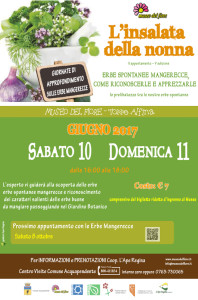 Locandina_insalata-giugno-2017