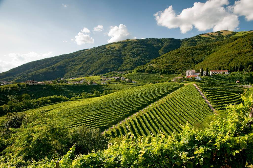 VinidelVeneto2017