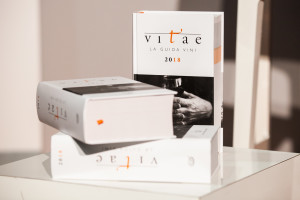 Vitae2018_273