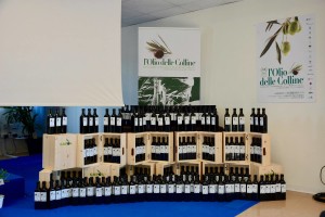 olio colline