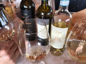 Gini degustazione vini