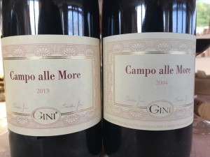 gini-campo alle more