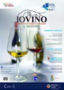 ioVino2018