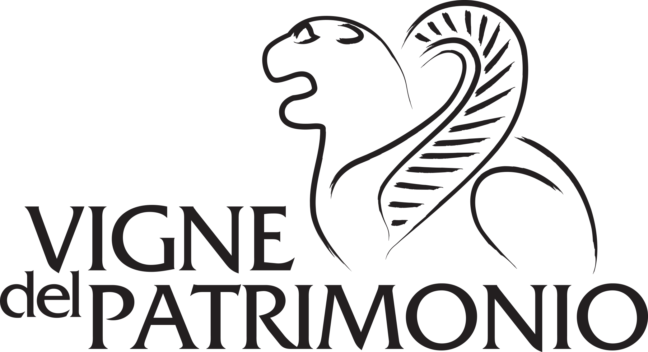 logo VDP