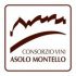 Logo Asolo Montello