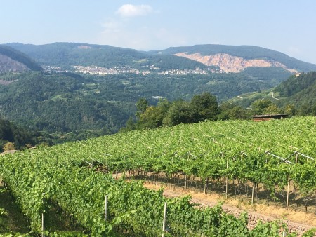 Val di Cembra Evidenza