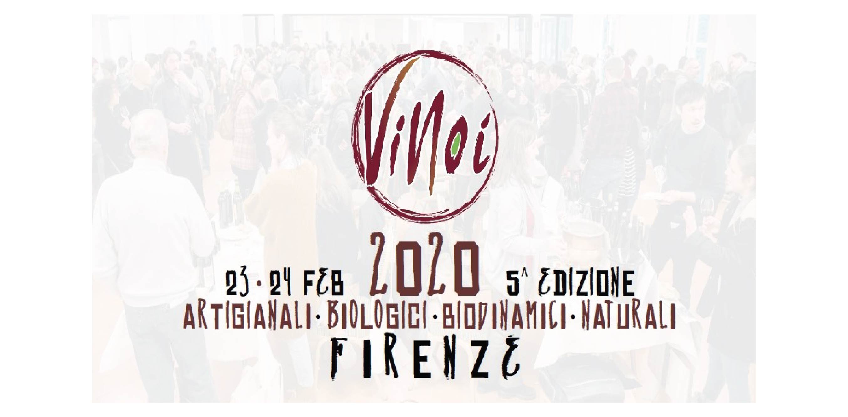ViNoi2020-01