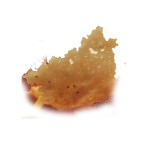 pecorino