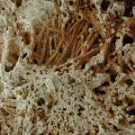 travertino