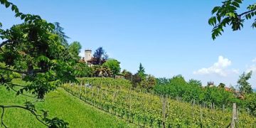 Pelaverga, Neretta Cuneese, Chatus i vitigni storici delle Colline Saluzzesi