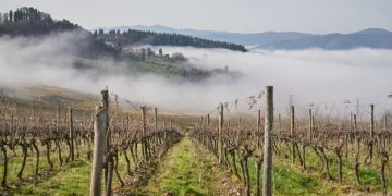 Chianti Lovers & Rosso Morellino 2026: le nostre impressioni