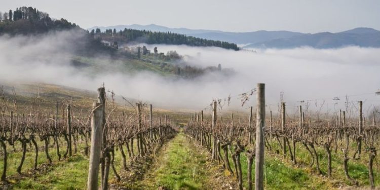 Chianti Lovers & Rosso Morellino 2026: le nostre impressioni