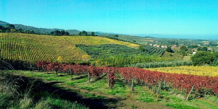 Valdarno di Sopra day 2026: le nostre impressioni