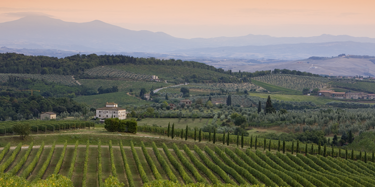 Chianina & Syrah 2026: le nostre impressioni