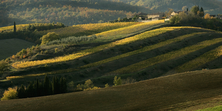 Chianti Classico Collection 2026: le nostre impressioni