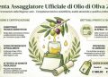 Università della Tuscia: corso per assaggiatori di Olio di Oliva 2026