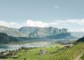 Consorzio Vini Alto Adige: riconfermato presidente Andreas Kofler