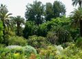 Orti Urbani: un incontro di natura e sapori all’Orto Botanico di Roma
