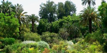 Orti Urbani: un incontro di natura e sapori all’Orto Botanico di Roma