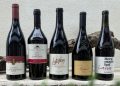 Concorso Nazionale Pinot Nero Italia annata 2023: i premiati