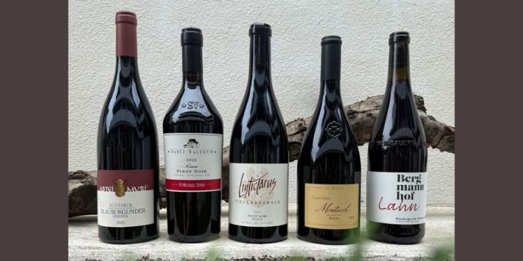 Concorso Nazionale Pinot Nero Italia annata 2023: i premiati
